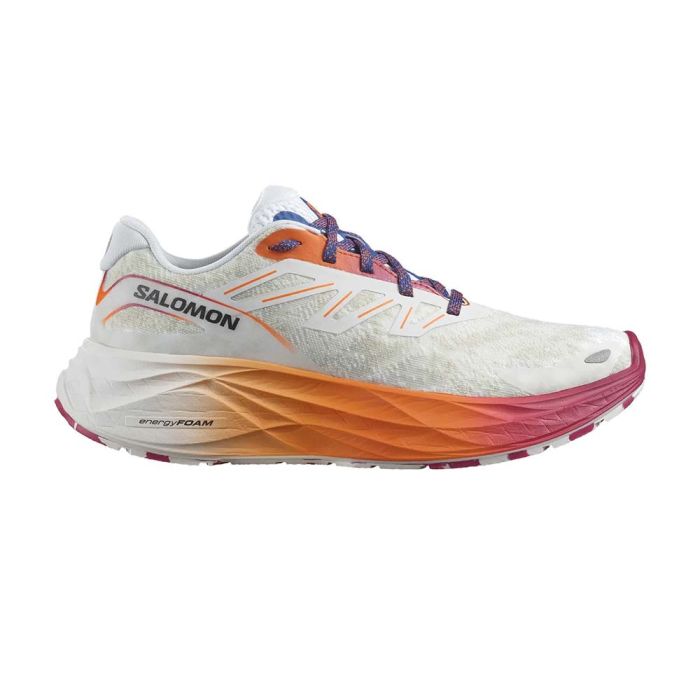 Chaussures sport salomon femme best sale